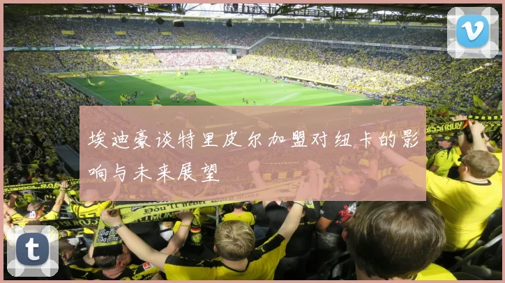 埃迪豪谈特里皮尔加盟对纽卡的影响与未来展望