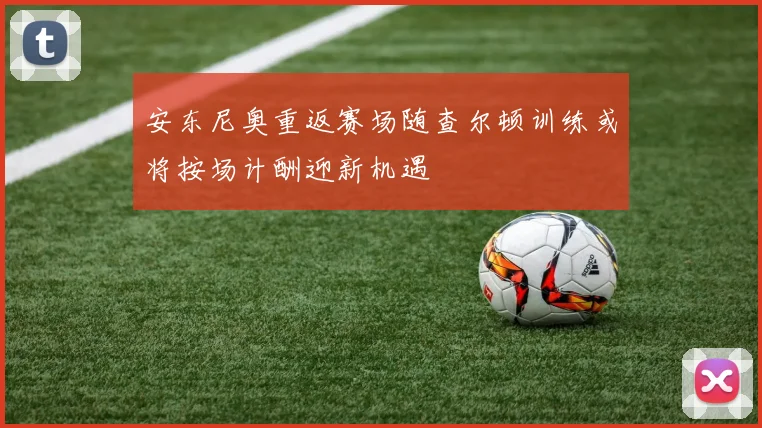 安东尼奥重返赛场随查尔顿训练或将按场计酬迎新机遇