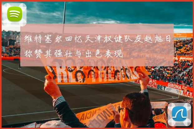 维特塞尔回忆天津权健队友赵旭日称赞其强壮与出色表现