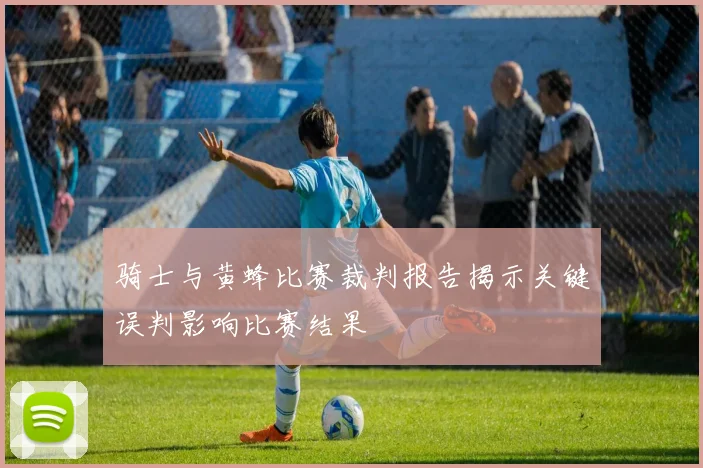 骑士与黄蜂比赛裁判报告揭示关键误判影响比赛结果