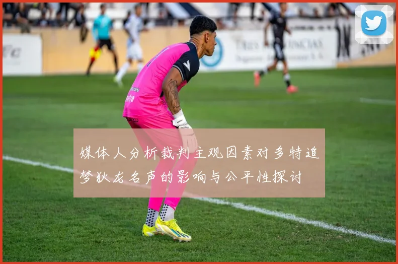 媒体人分析裁判主观因素对多特追梦狄龙名声的影响与公平性探讨